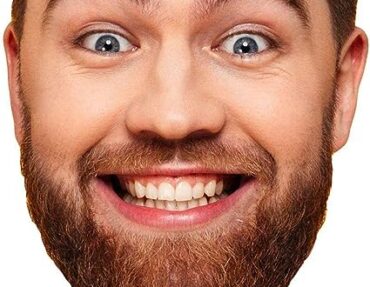 Face Fan / Fan Head - 11 inches